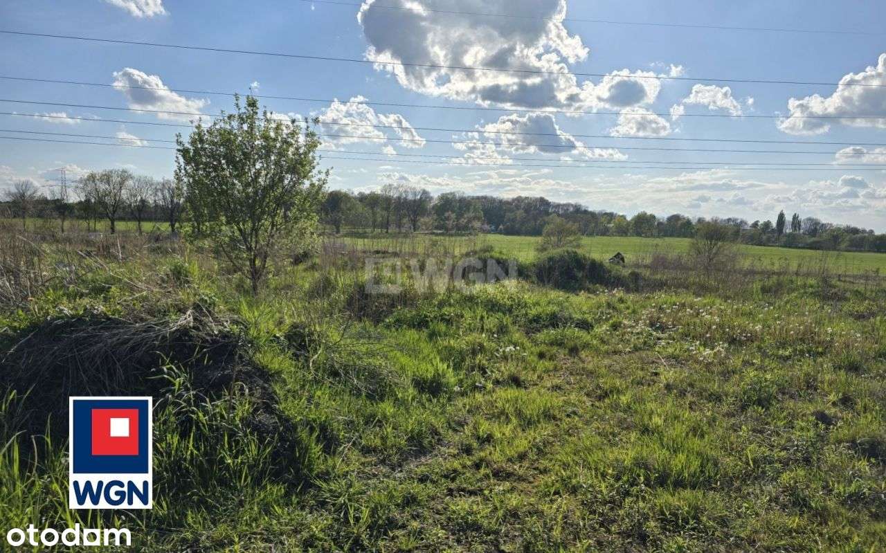 Działka, 1 706 m², Mikołów