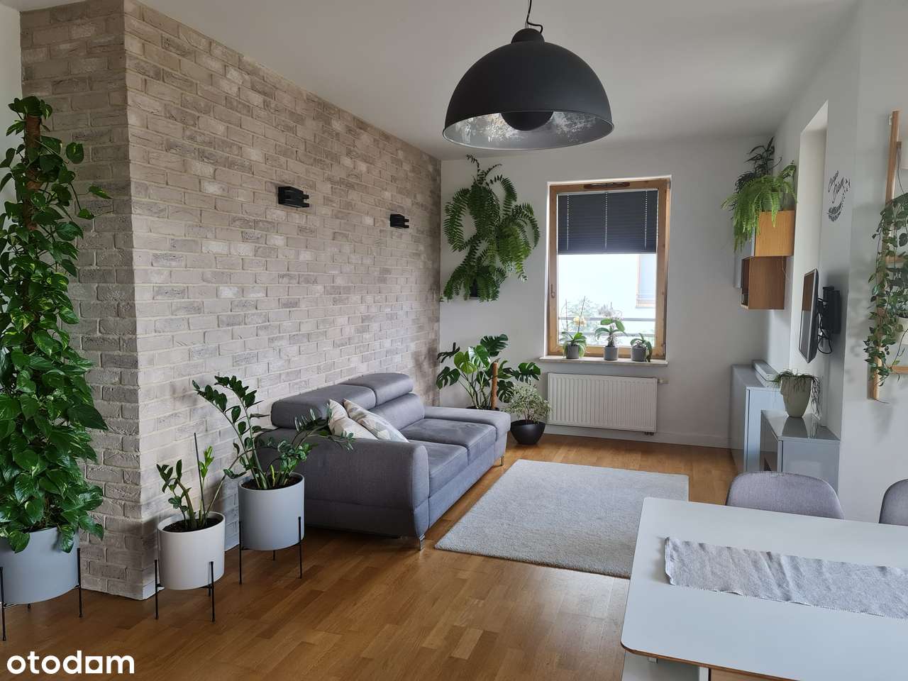 Zamienie, mieszkanie bez prowizji-5