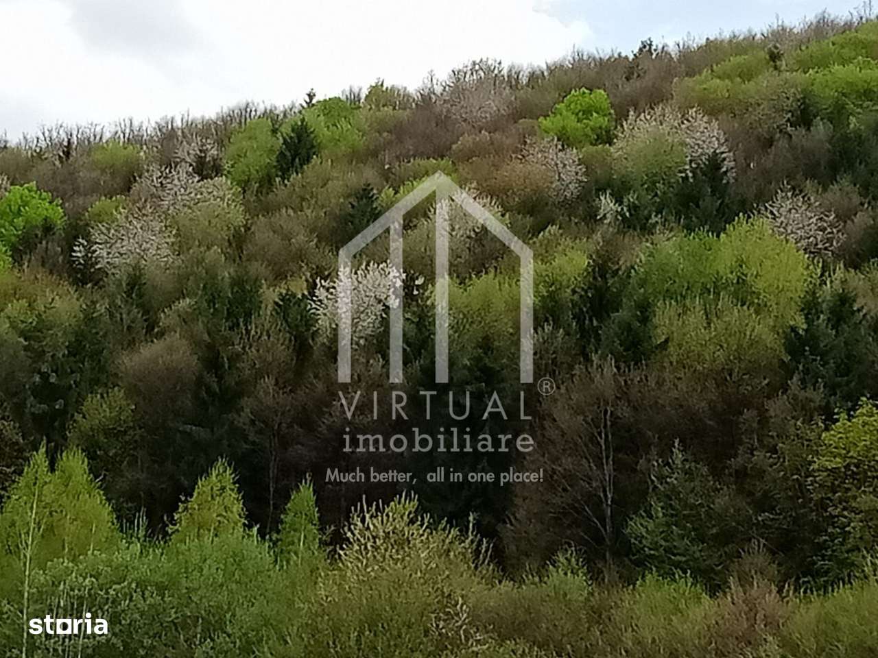 Teren intravilan de vanzare in Tocile, 3862 mp, priveliste spre padure - Imagine principală: 4/14