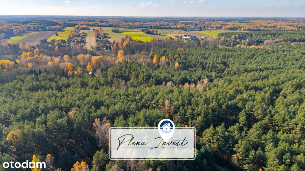 Piękny las | prywatność | plan zagospodarowania-6