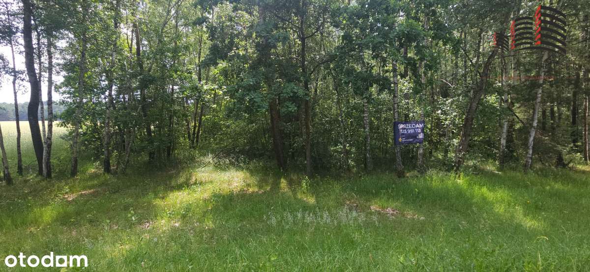 Piękna działka leśna z możliwością zabudowy - Pełny obrazek: 4/10