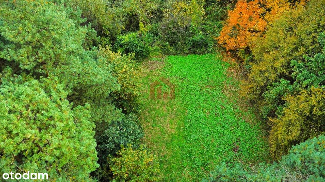 Działka budowlana Bobrowa, gm. Żyraków, pow. dębic - Pełny obrazek: 5/8