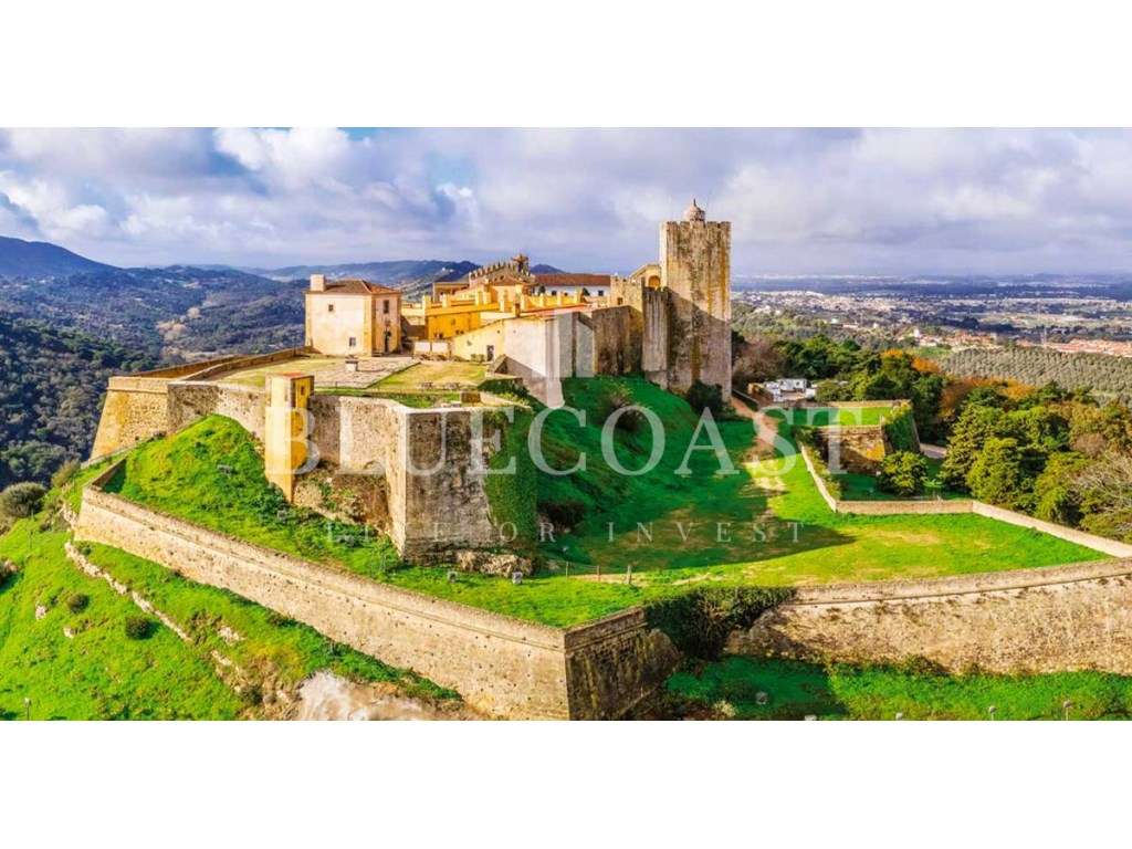 Terreno Rústico com Vinha e PIP Aprovado - Palmela-6