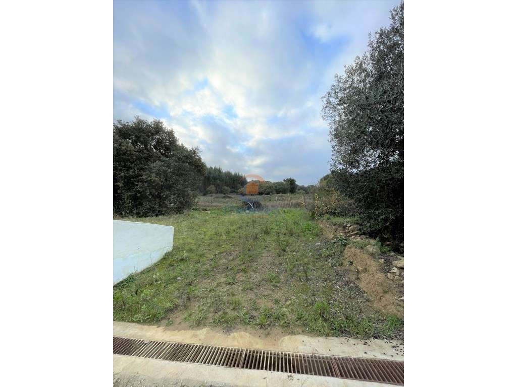 Lote com 25.500 m2 em Arruda dos Vinhos - Grande imagem: 2/9