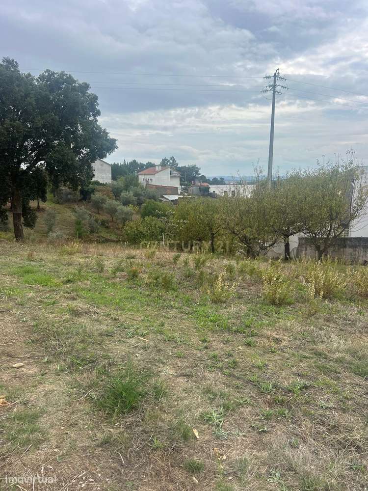 Terreno com vistas deslumbrantes em Proença-a-Nova - Grande imagem: 4/7