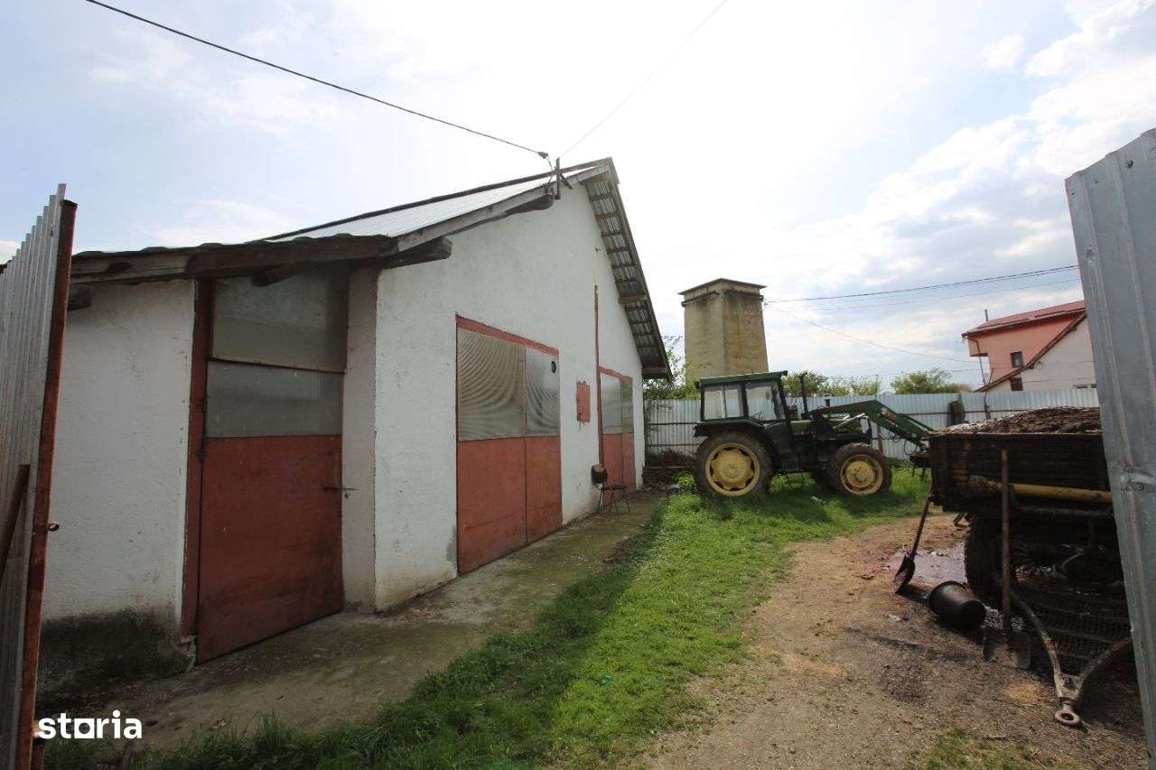 Abator complet functional cu grajduri pentru animale in Bod Colonie-9