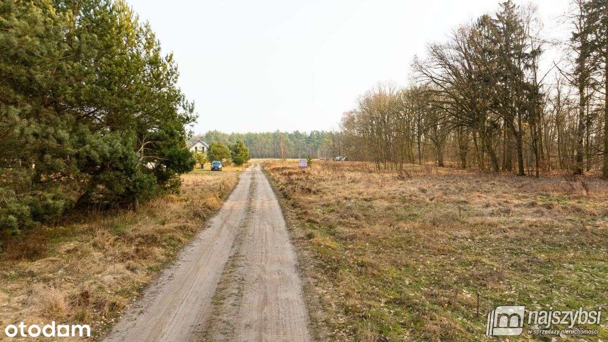 Rurzyca -Działka Budowlana - Pełny obrazek: 2/9