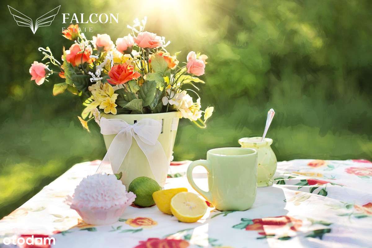 2 pokoje z ogródkiem, obrzeża Poznania-4