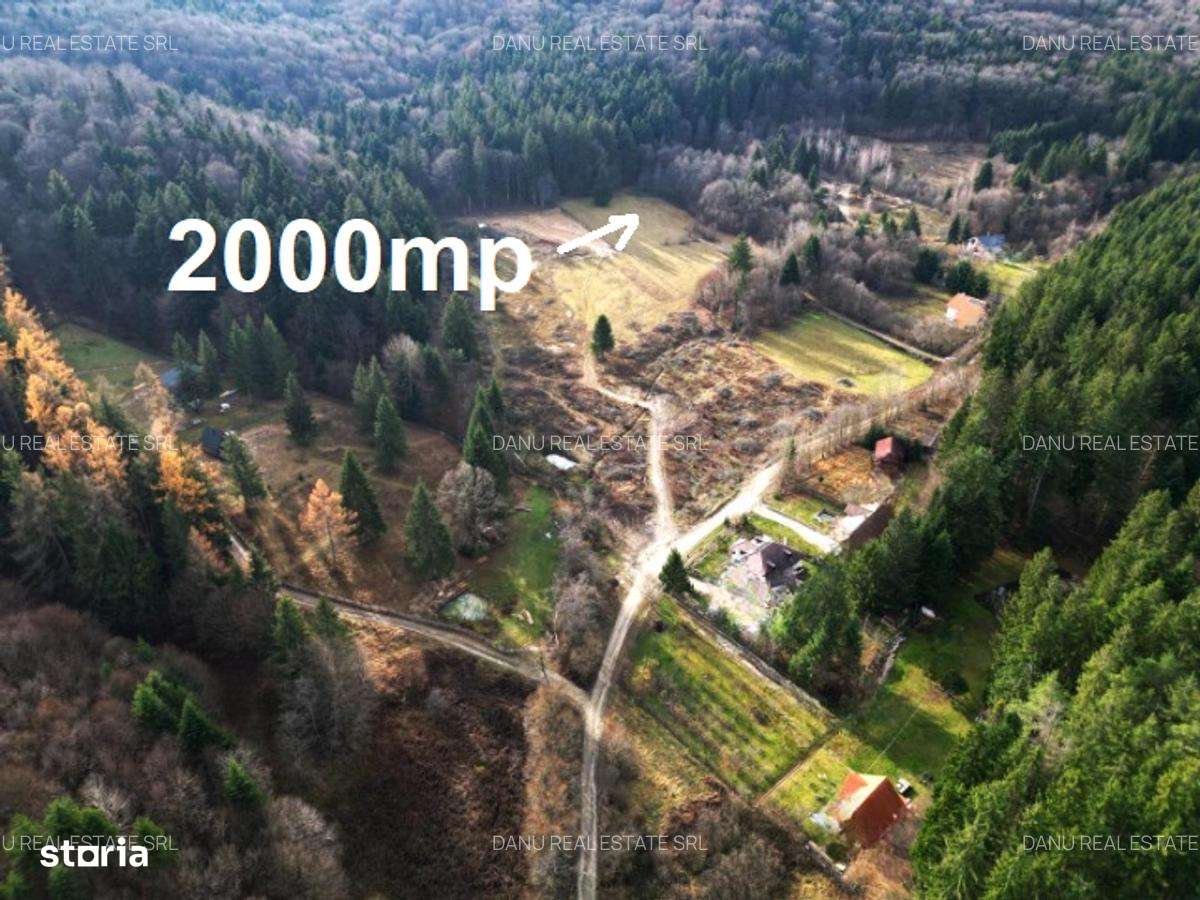 Teren intravilan2000mp în Vulcan BV–Oază de liniște -pădure si lacuri-2