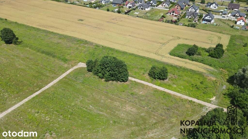 Akrakcyjne działki Zabrze Kasprowicza - Pełny obrazek: 5/7