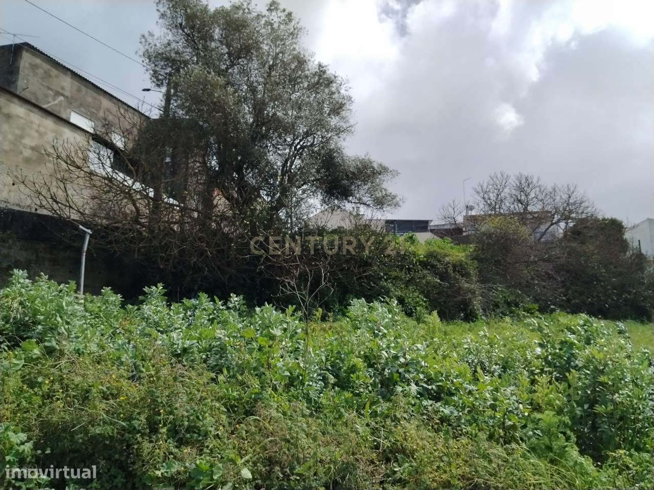 Terreno Rústico no Centro de Maiorga - Grande imagem: 4/31