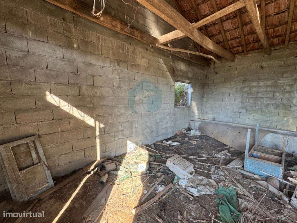 Quinta com Potencial em Marco de Canaveses-5