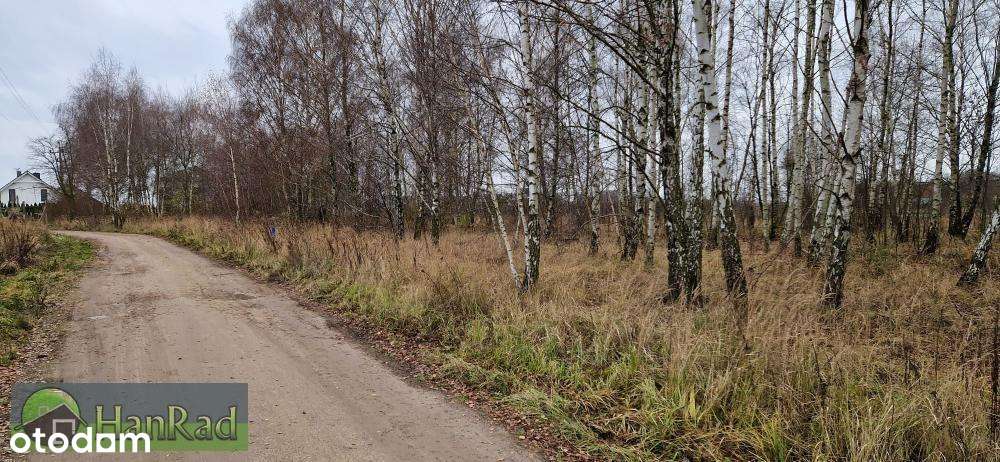 budownictwo mieszkaniowe - Sady - Mn1 - Pełny obrazek: 4/9