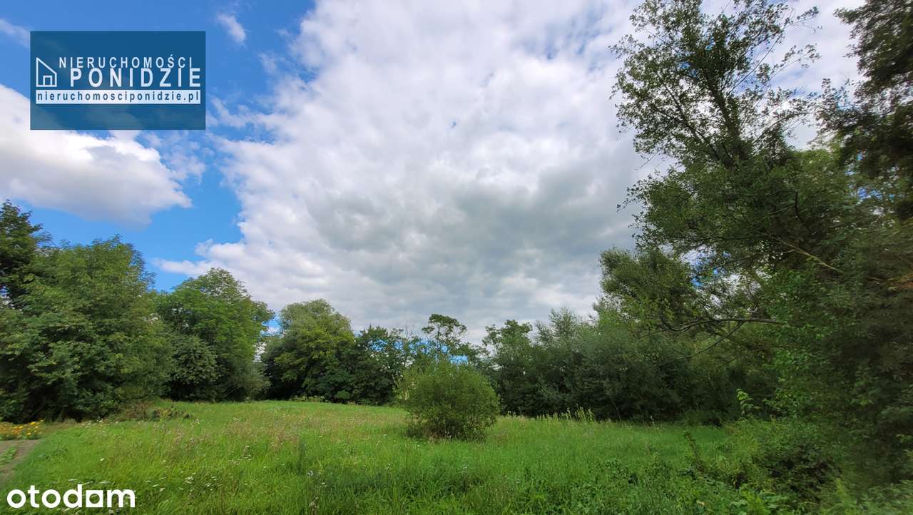 Działka budowlana nad strumykiem Zborów / Solec-Zdrój - Pełny obrazek: 4/13