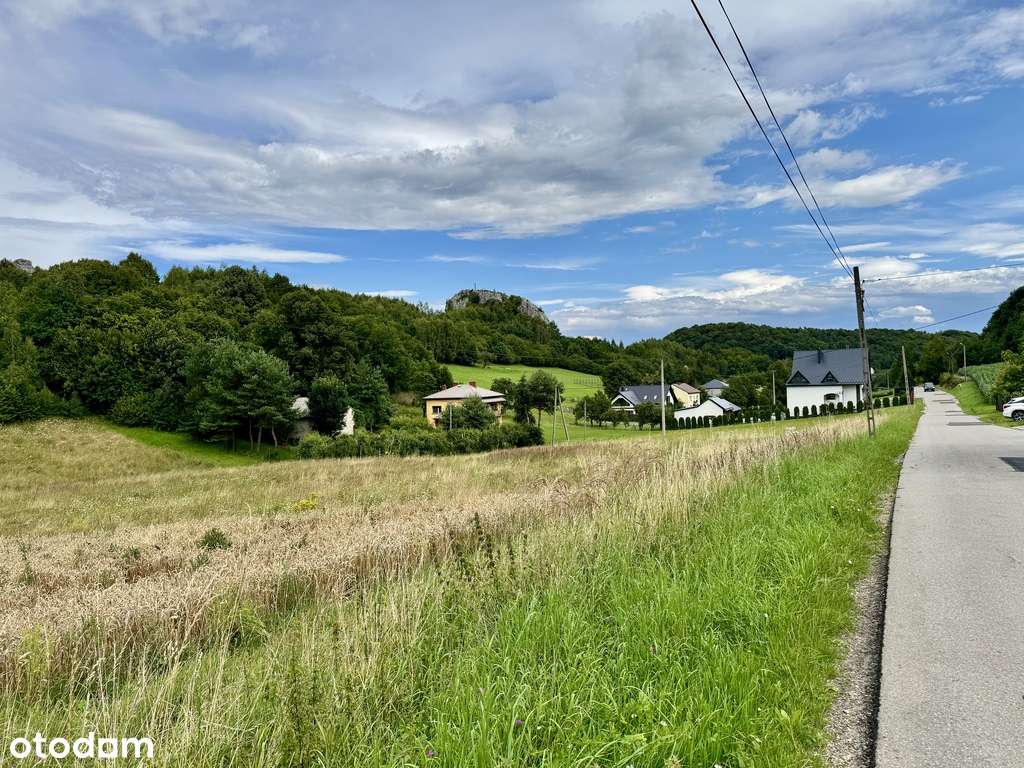 Działka tuż pod Grodziskiem (Skała 502) - Pełny obrazek: 3/6