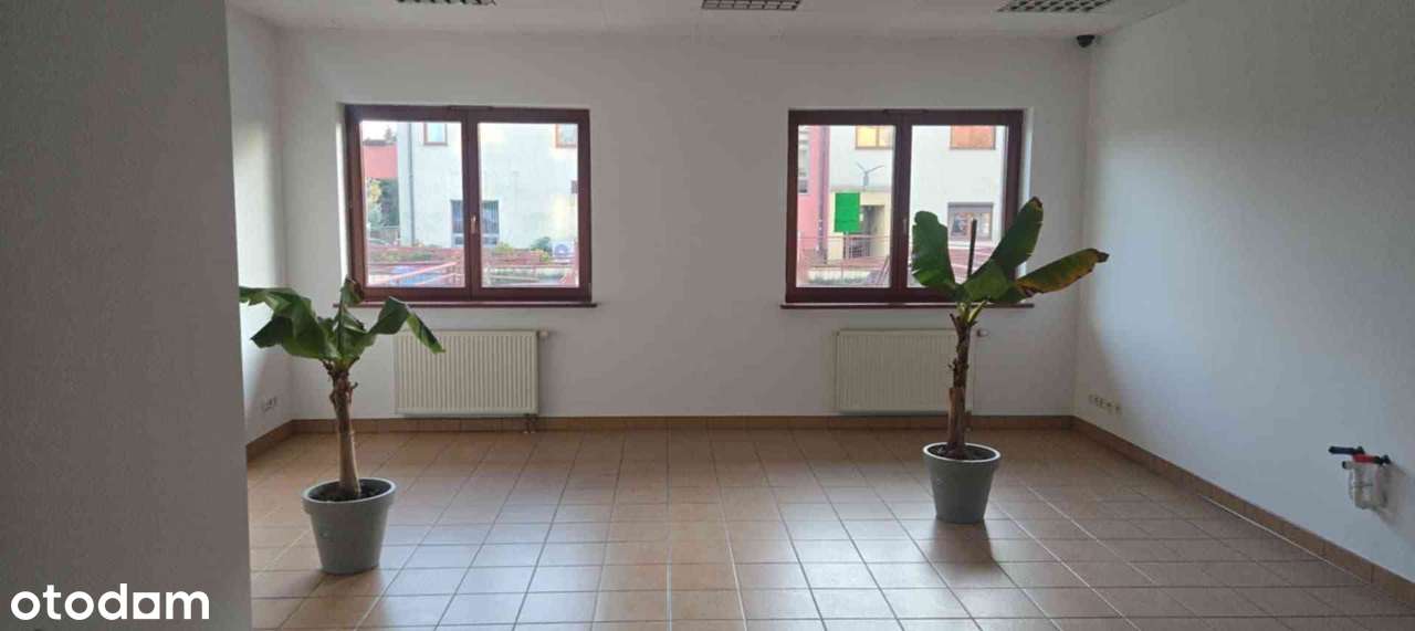 Lokal na wynajem z parkingiem i klimatyzacją - Pełny obrazek: 4/5