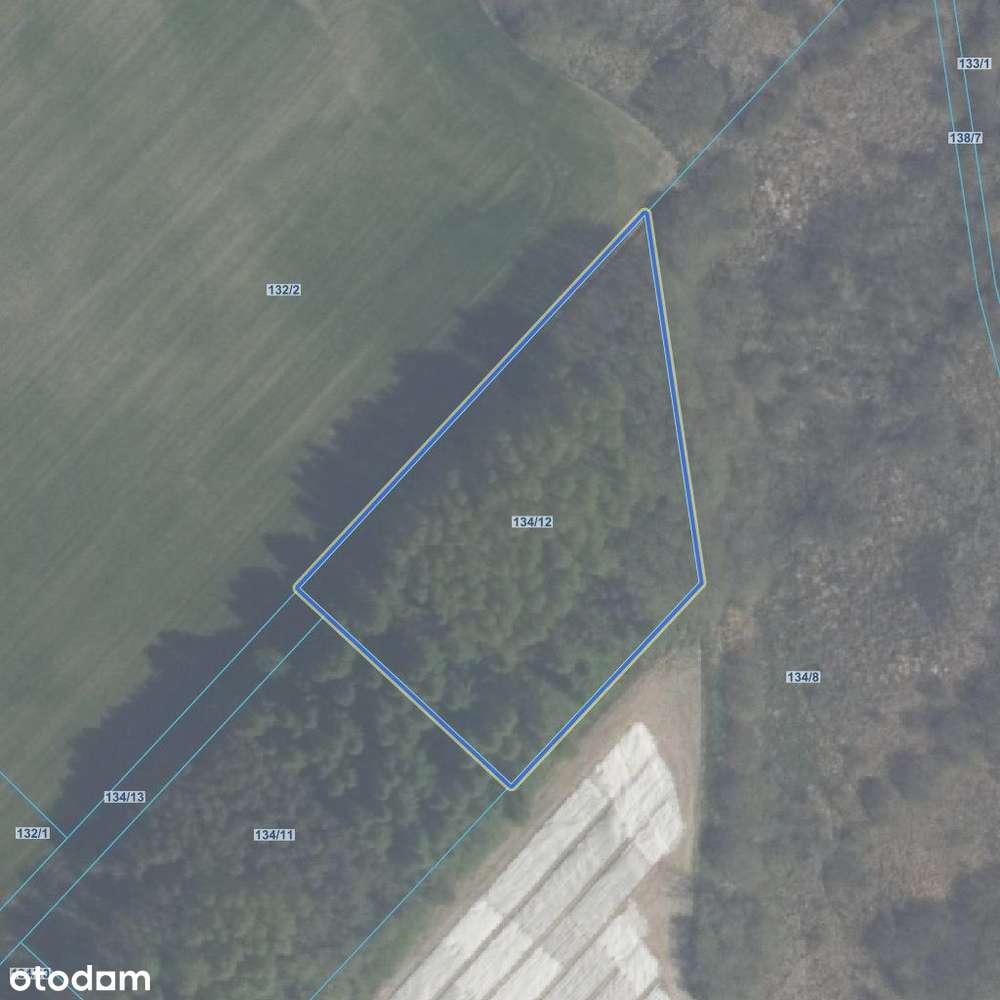 Działka Mazury Zwierzewo Ostróda - Pełny obrazek: 5/5