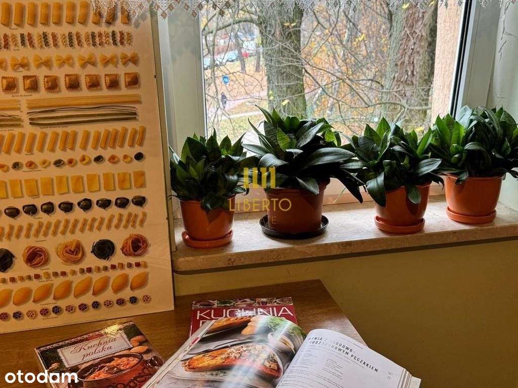 2 pok, balkon, Metro Młociny-10