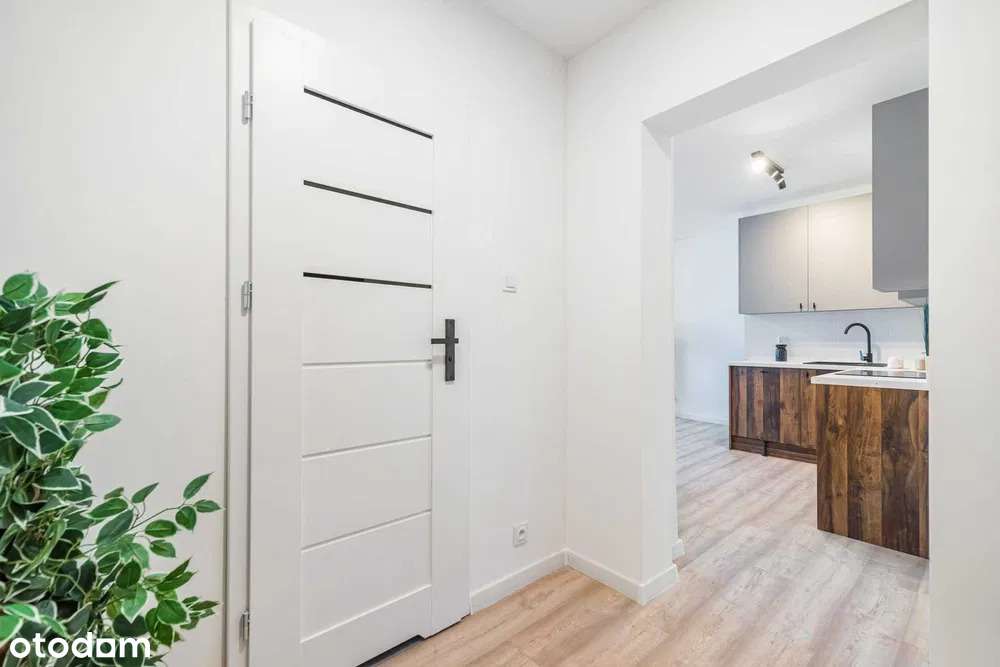 Ładne dwupokojowe po remoncie! Super lokalizacja! - Pełny obrazek: 5/8