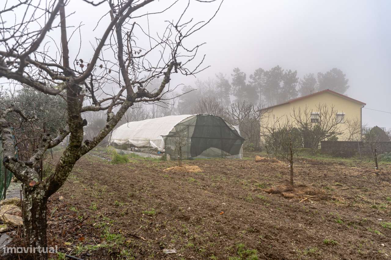 Quinta com Moradia T2 | Fornos de Algodres-14