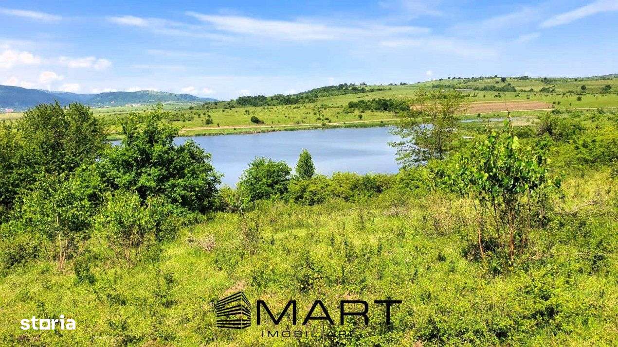 Teren extravilan 3200mp lac Sacel - Imagine principală: 2/7