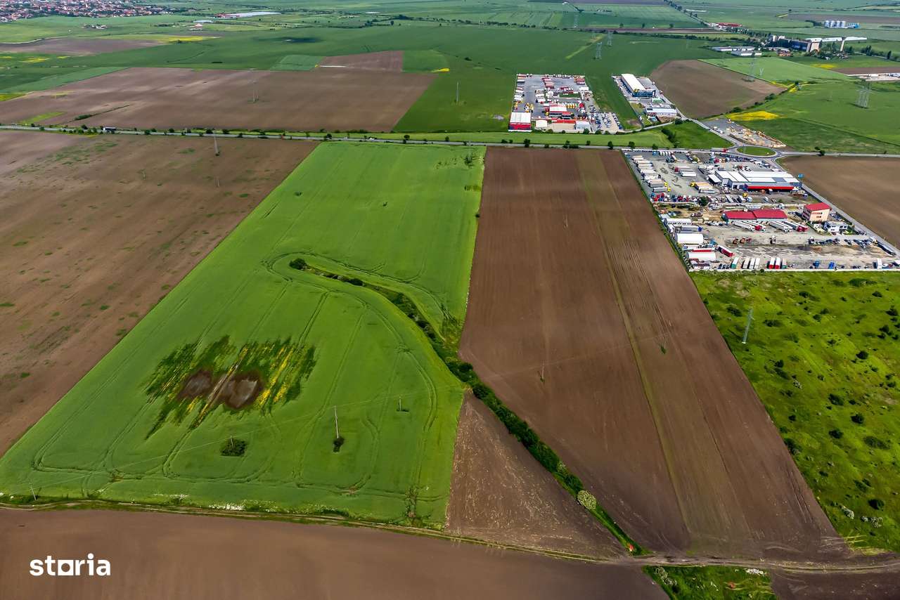 Teren intravilan cu PUZ aprobat la Centura Nord Arad – 7,5€/mp! - Imagine principală: 4/8