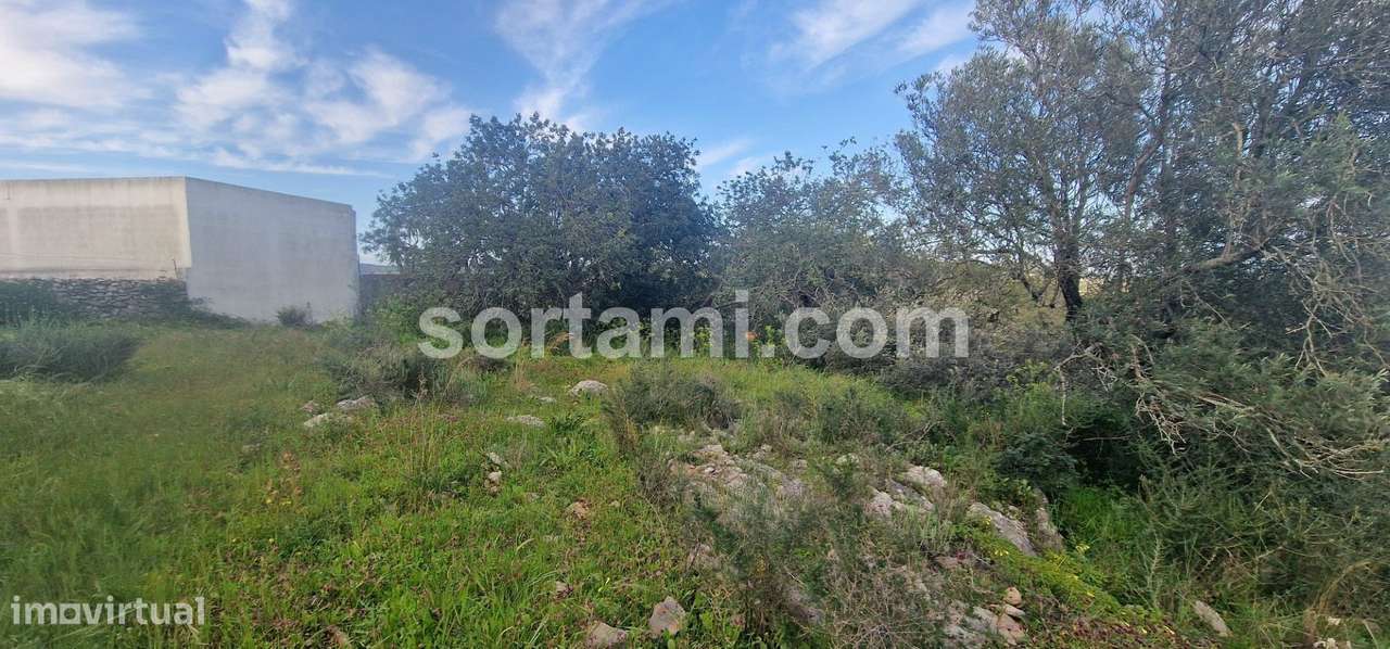 Terreno Rústico  Venda em São Brás de Alportel,São Brás de Alportel - Grande imagem: 3/13