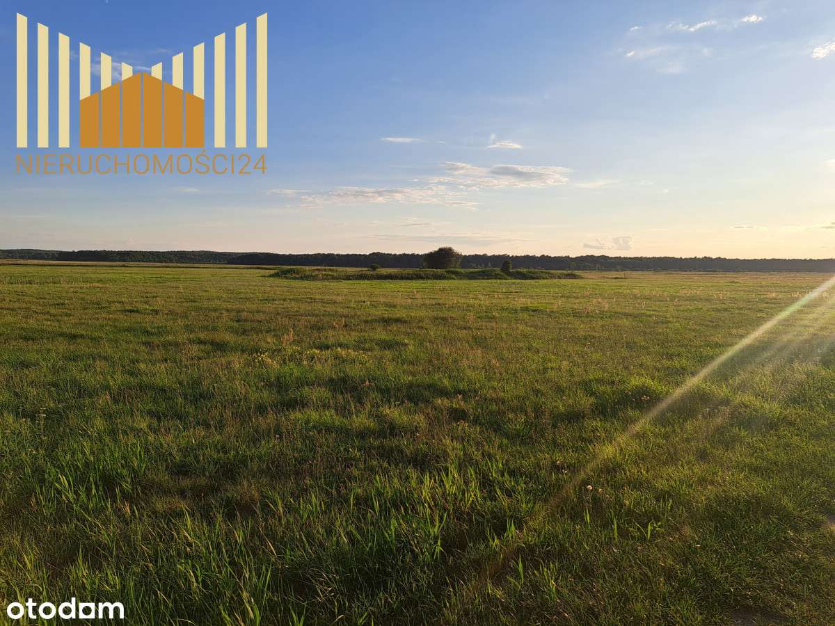 Działka w otoczeniu natury !!! - Pełny obrazek: 5/7