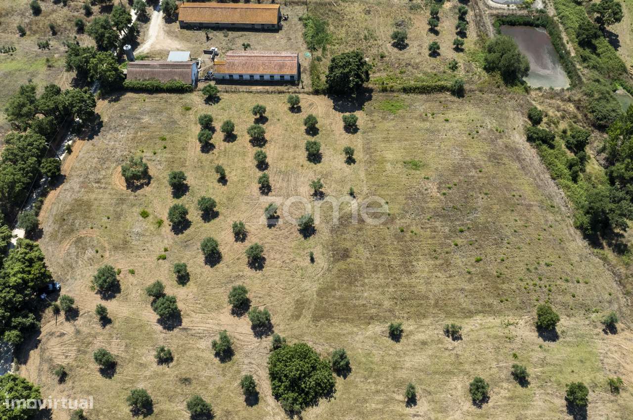 Terreno Rústico em Fráguas, Rio Maior com 12.880m2 - Grande imagem: 3/17