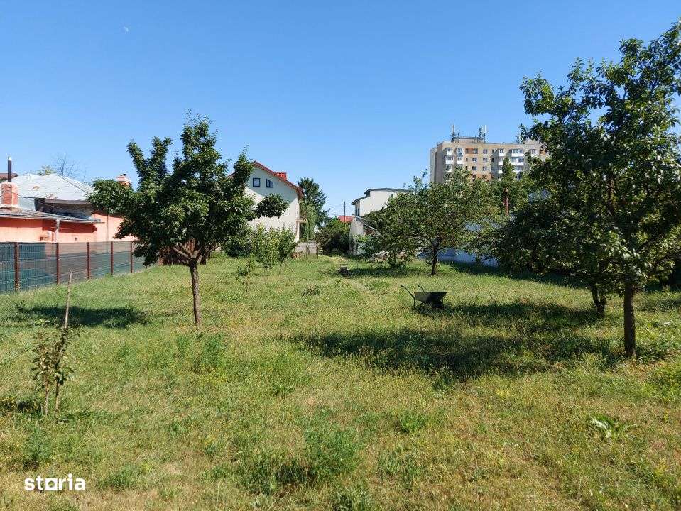 O proprietate imobiliara deosebita, formata din casa si mult teren!-6