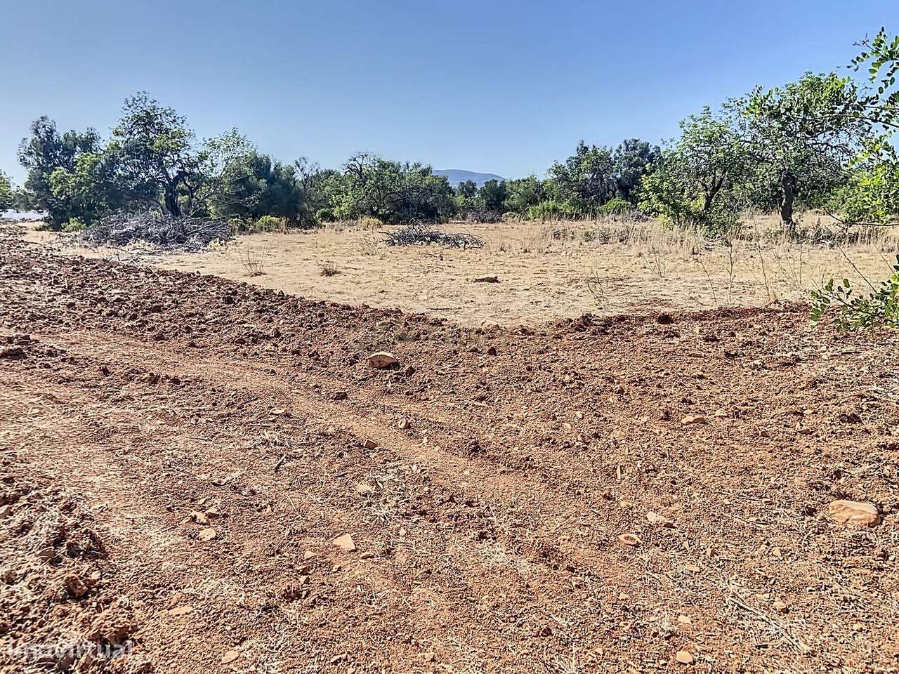 Terreno Rústico 12.000m2 - Falfosa, Santa Bárbara de Nexe - Grande imagem: 5/9