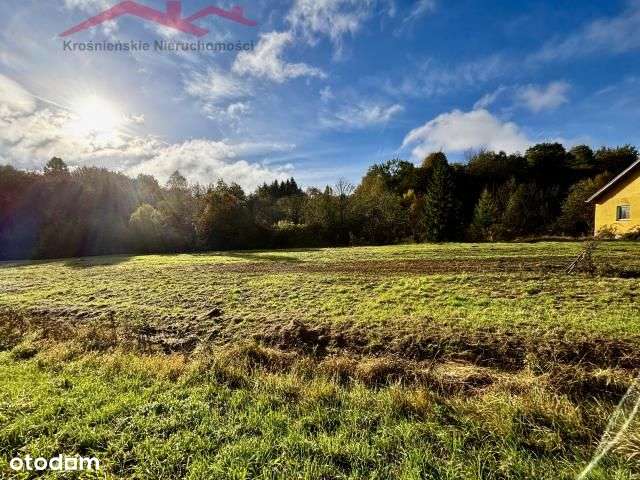 Piękna działka w Bałuciance - Pełny obrazek: 4/9