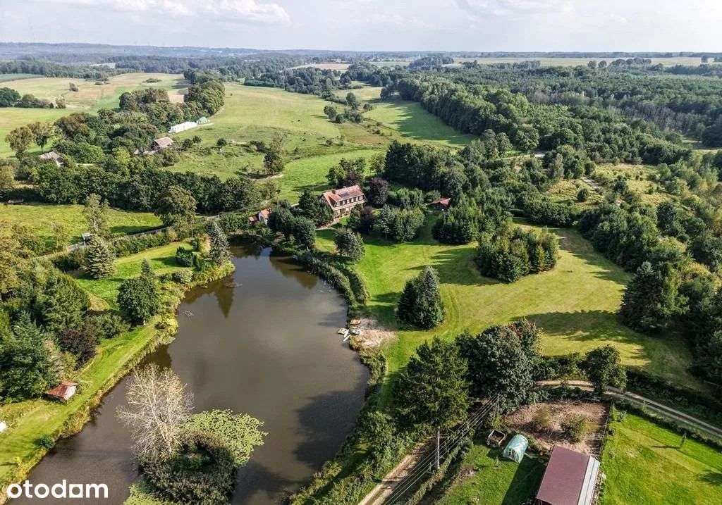 Willa z historią i ponad 4 hektarami ziemi - Pełny obrazek: 1/10