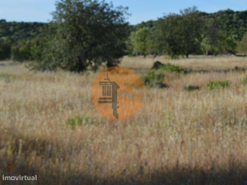 Terreno Rústico Marco Santa Catarina da Fonte do Bispo - Grande imagem: 4/9