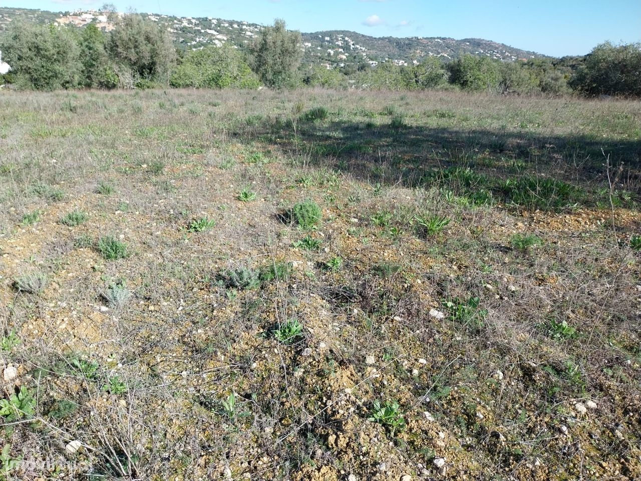 Lote de terreno  rustico com 4.440m2