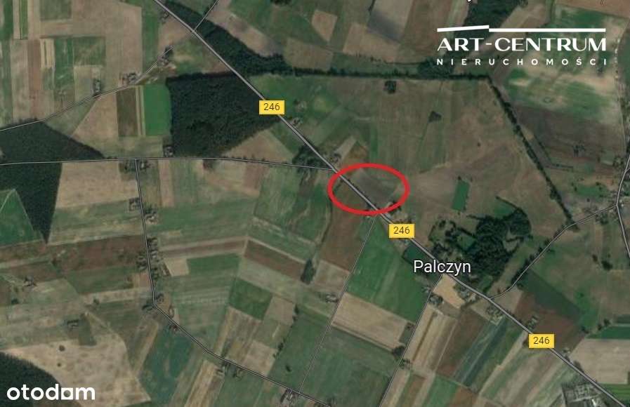 Działka rolna idealna pod fotowoltaikę. - Pełny obrazek: 2/2