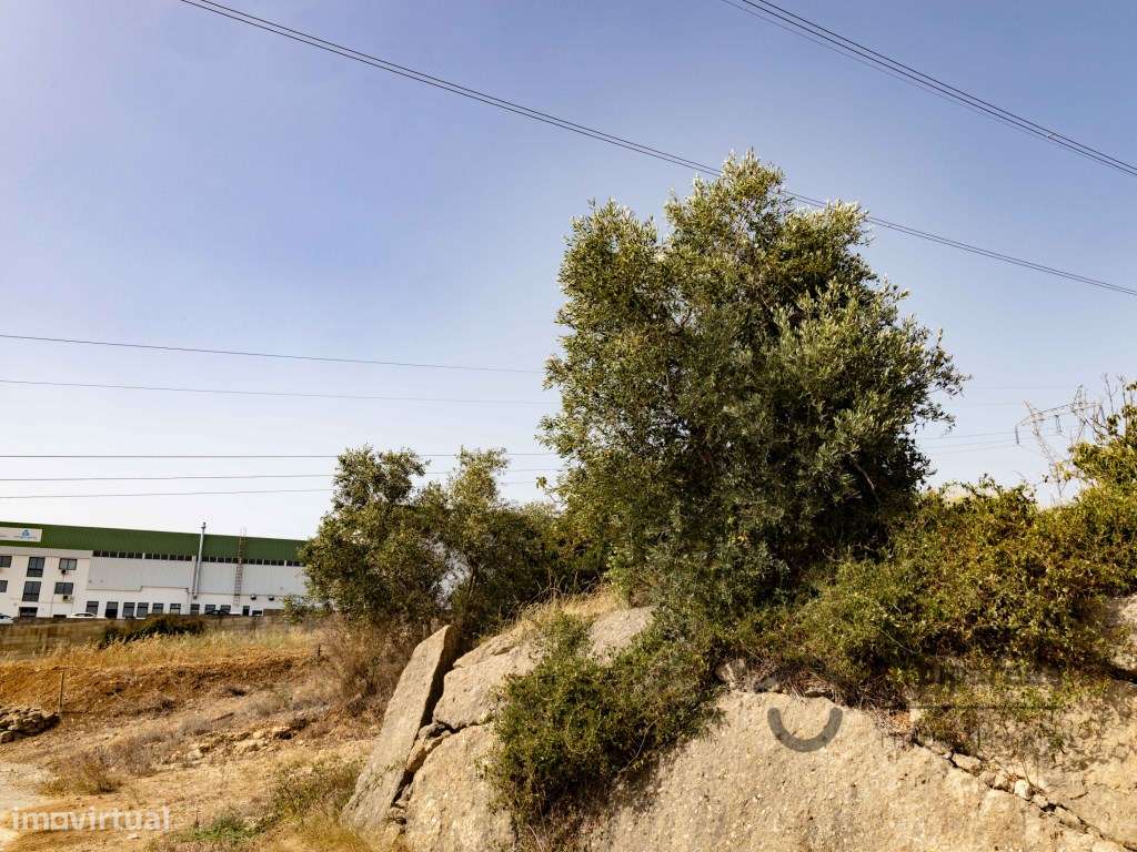 Terreno em Zona Industrial com 14.000 m2 situado em À-de-mourão, - Grande imagem: 2/13
