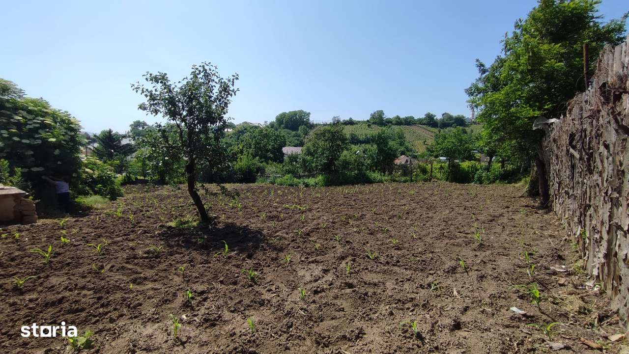 Luizi Calugara, teren intravilan in centru - Imagine principală: 2/6