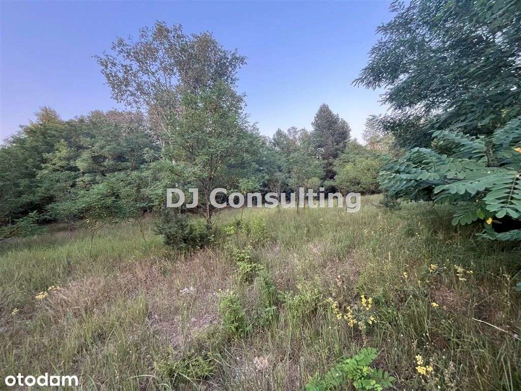 Piękna częściowo zalesiona działka JabłonnaJózefów-3