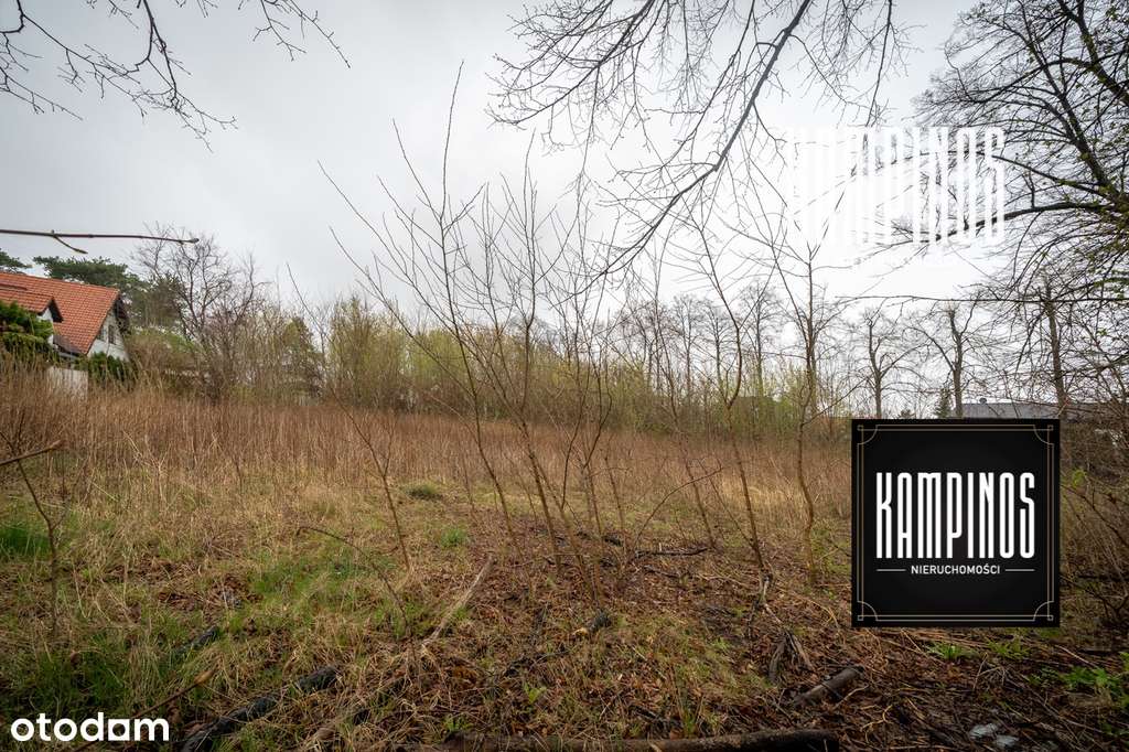 170/12317/OGS - Pełny obrazek: 5/6