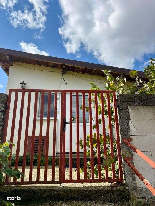 Casa de vanzare – Costesti, judetul Arges-2