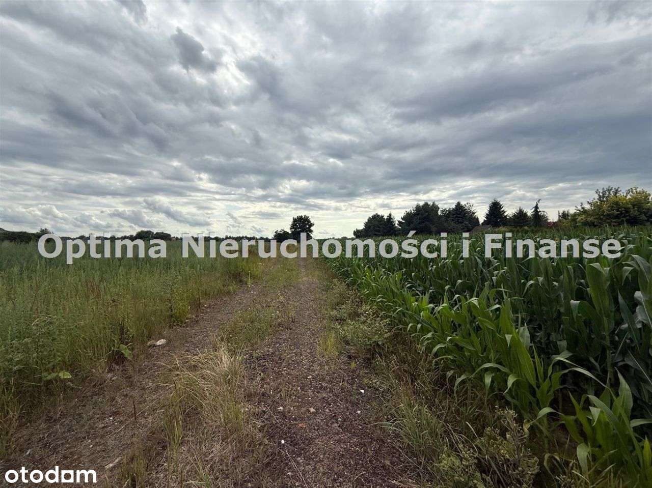 Oferta Sprzedaży Działek W Gierałtowicach - Pełny obrazek: 5/6