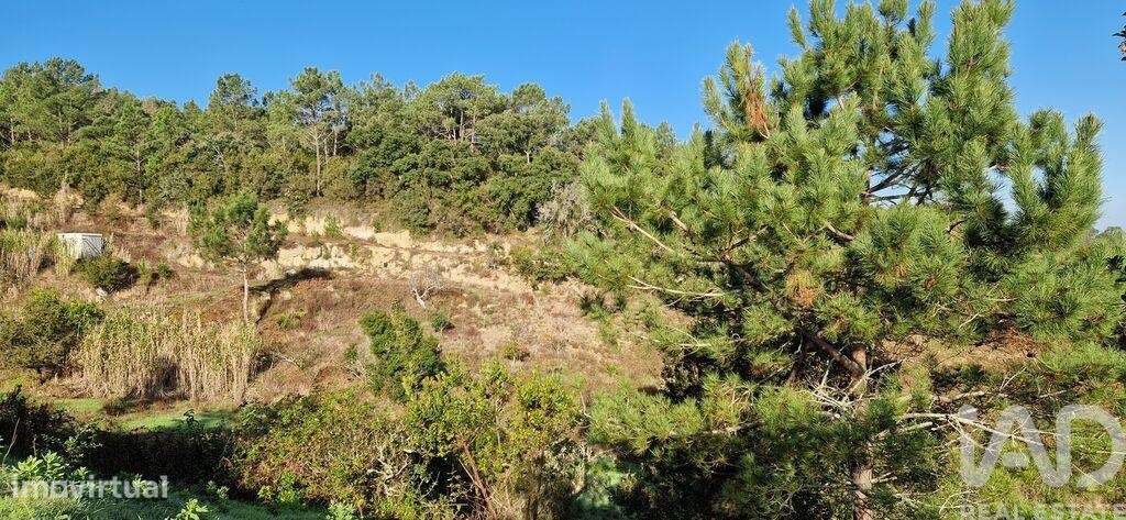 Terreno em Mafra de 5857,00 m2 - Grande imagem: 5/26