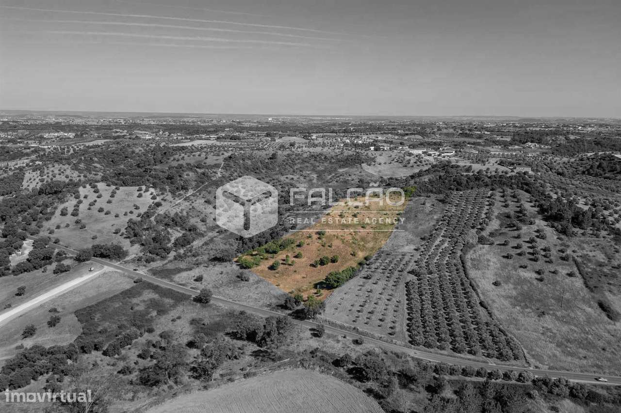Terreno Rústico  Venda em Azoia de Cima e Tremês,Santarém - Grande imagem: 4/39