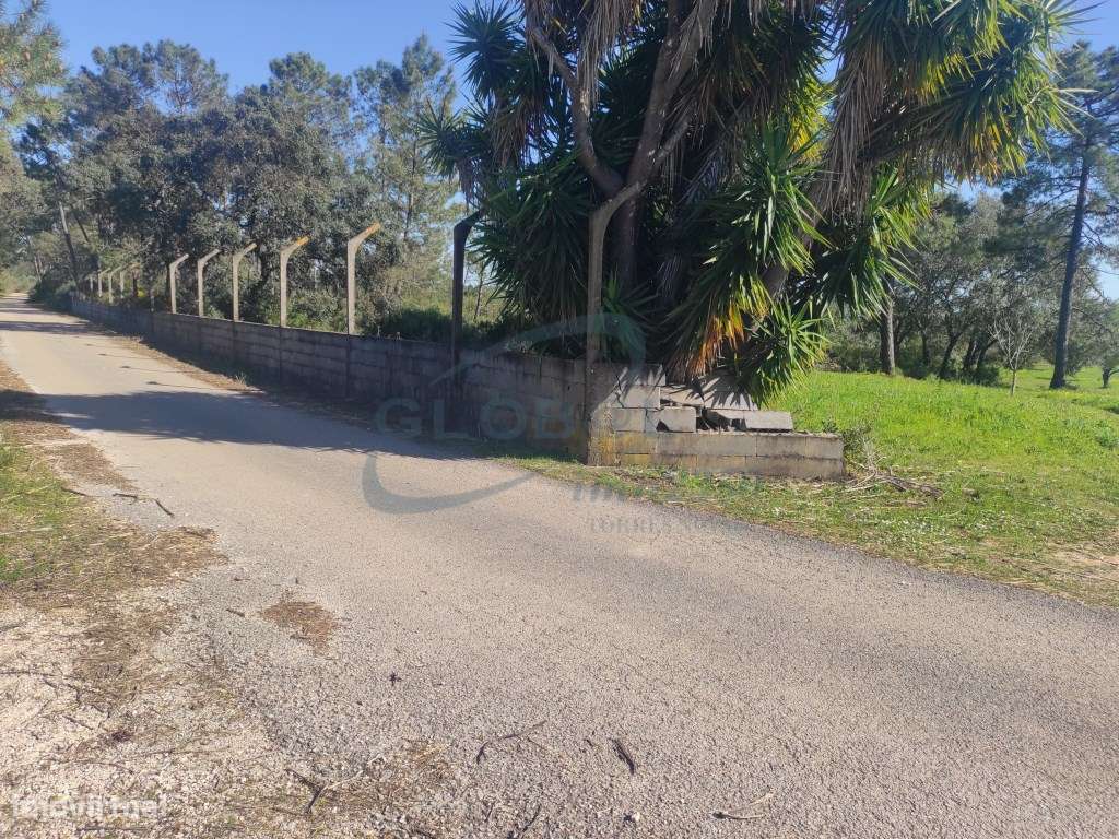 Refúgio natural com 6.985 m², eletricidade, poço e múltiplas possib... - Grande imagem: 4/12