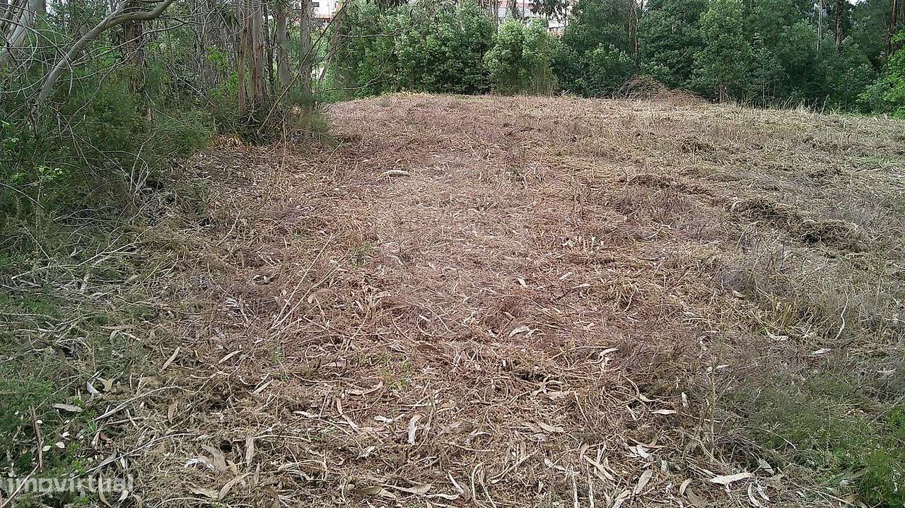 Terreno  para arrendamento - Grande imagem: 3/7