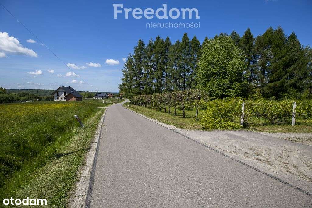 Działka z warunkami zabudowy Chmielnik-4