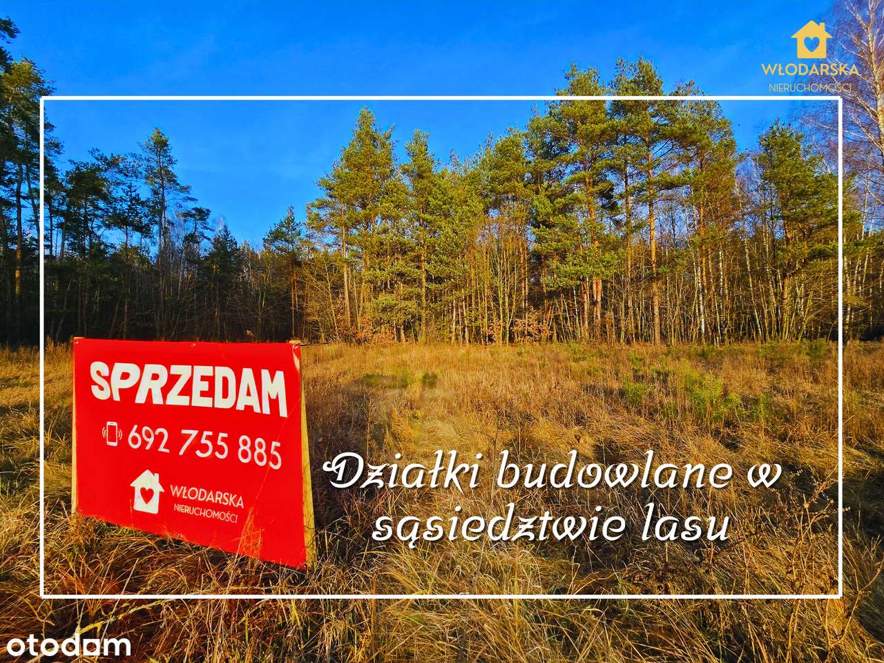 Działki budowlane przy lesie 1343 m2 | media | przy drodze asfaltowej-0