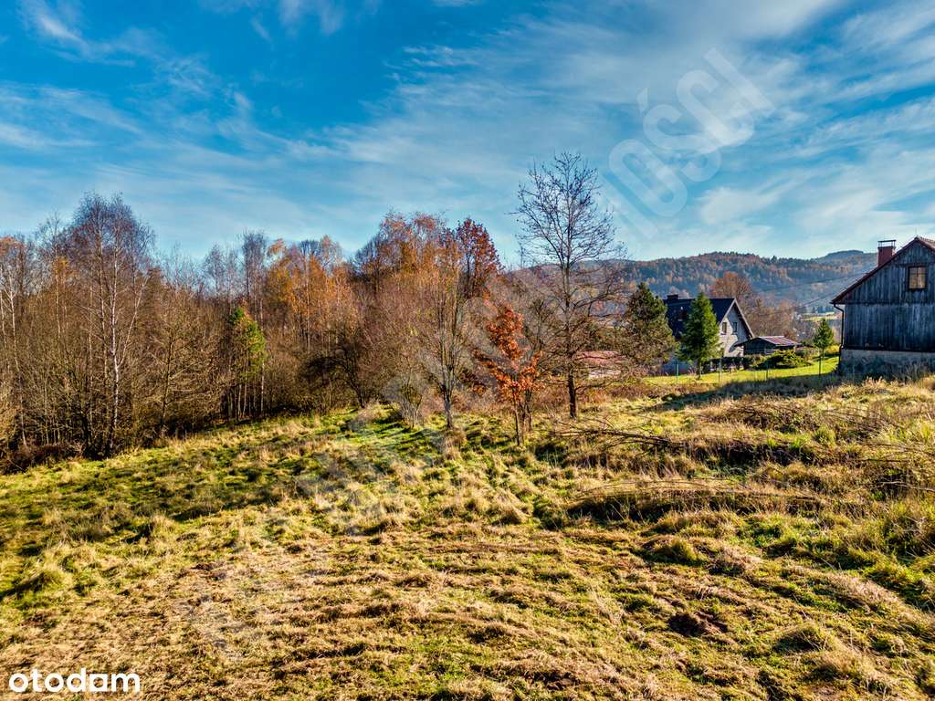 Działka w spokojnym miejscu blisko lasu-7