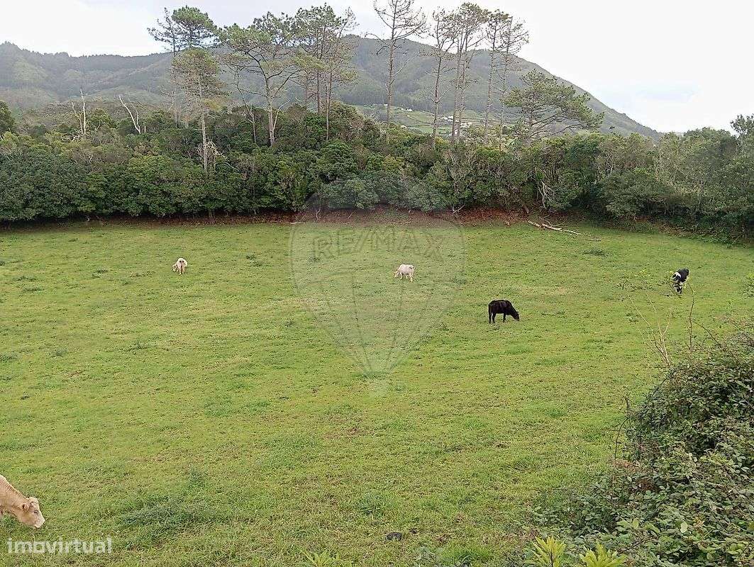 Terreno  para venda-8